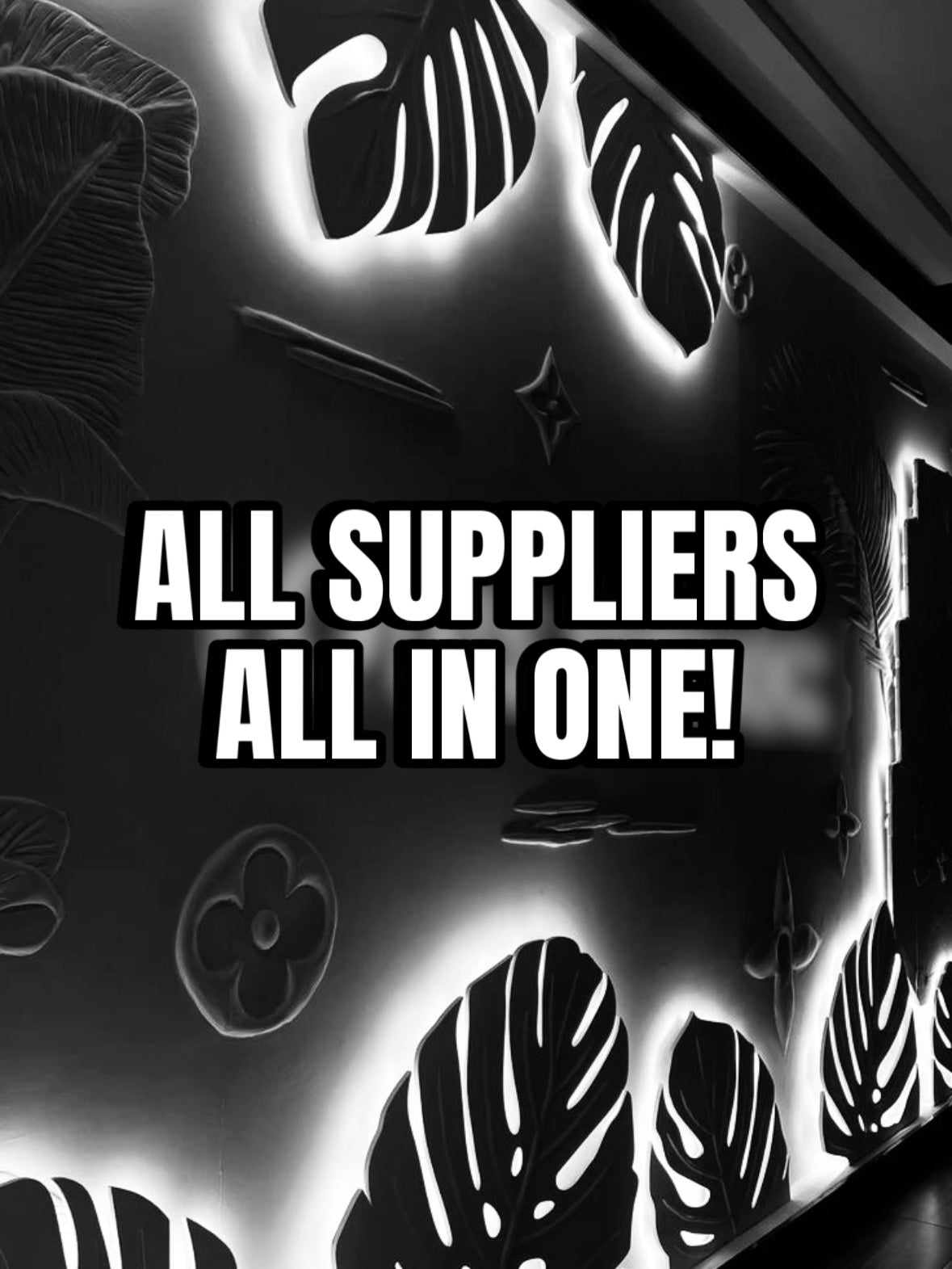 All-in-One Supplier (Bags, AirPods, Glasses, Colognes & More)